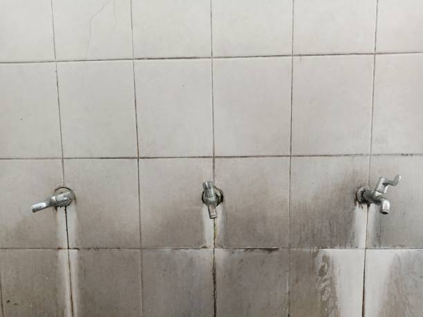 Best Water damage contractors near me  in Maineville, OH